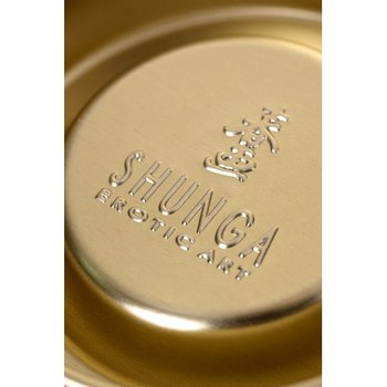 Разогревающее массажное масло Shunga Midnight Sorbet c ароматом сорбета 100 мл